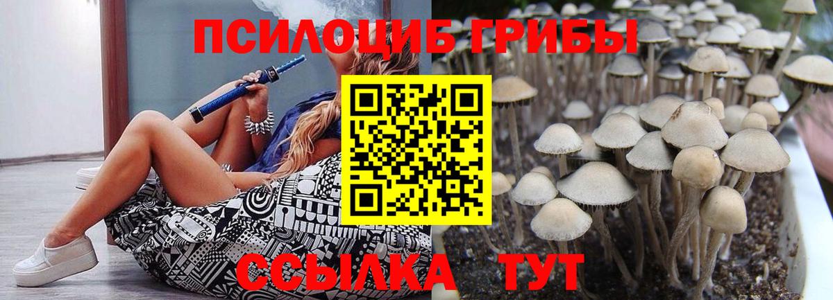 Кинешма  Галлюциногенные грибы Magic Shrooms  Вход с VPN 
