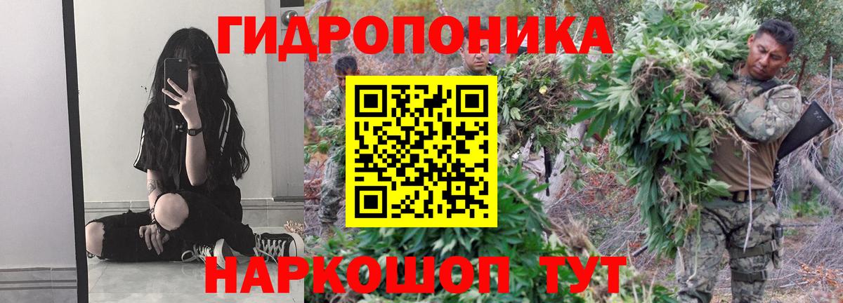 Канабис Amnesia  Марихуана гибрид  Вход с VPN  Кинешма  Канабис SATIVA & INDICA 